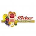 kundenlogo-ricker